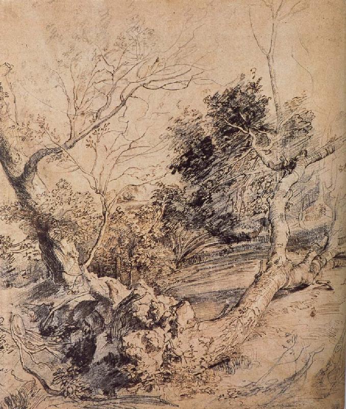 Peter Paul Rubens Forest landscape